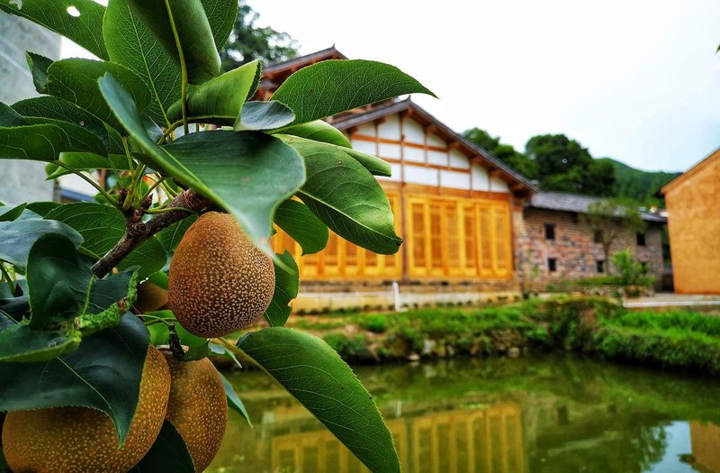 Gengyun Hongmengyuan Hostel Over view