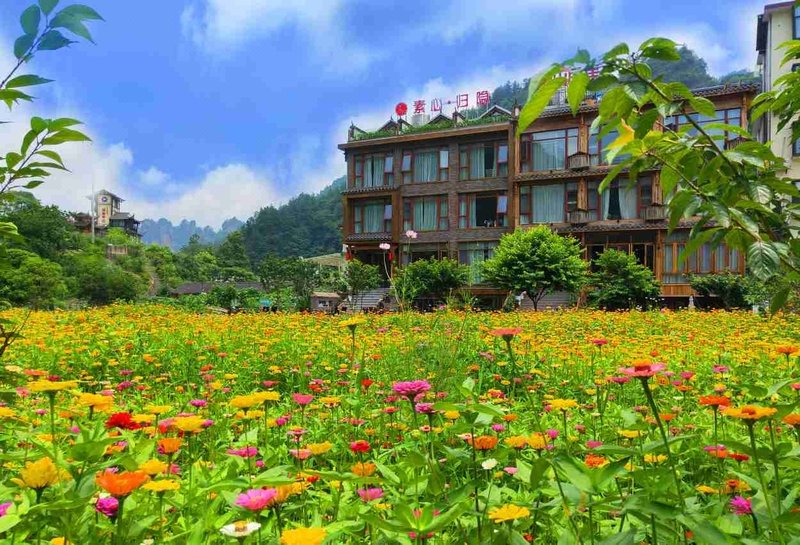 Zhangjiajie suxin retreat boutique HomestayOver view