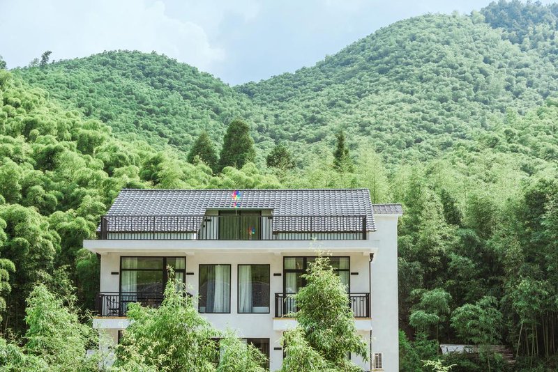 Doge Theme Homestay Over view