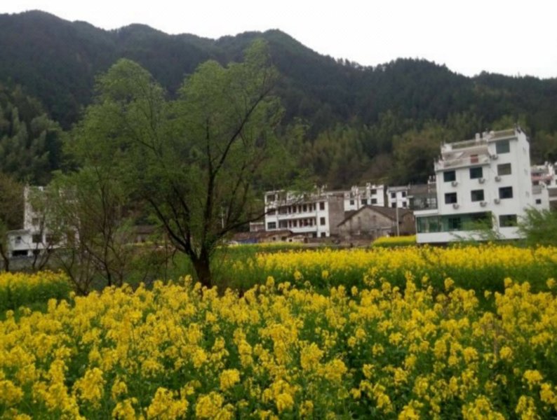 周边景点