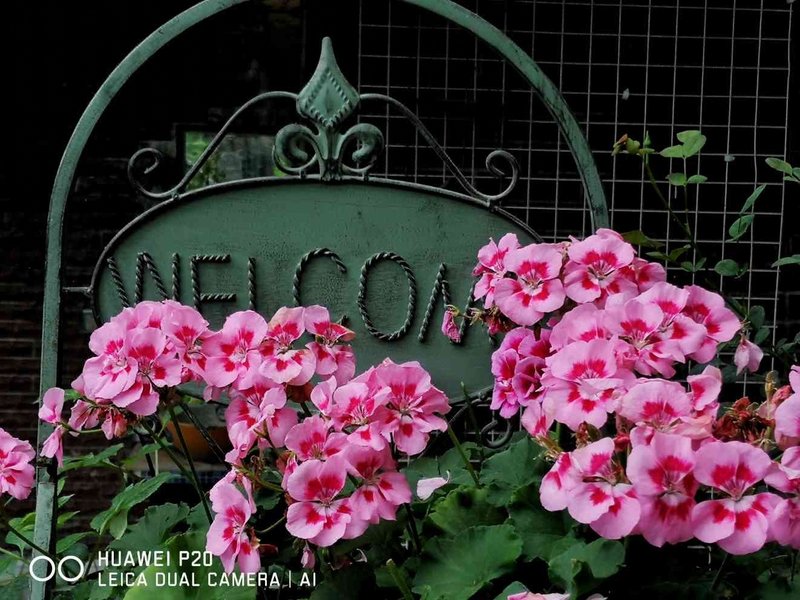 Sofia Garden Homestay Over view