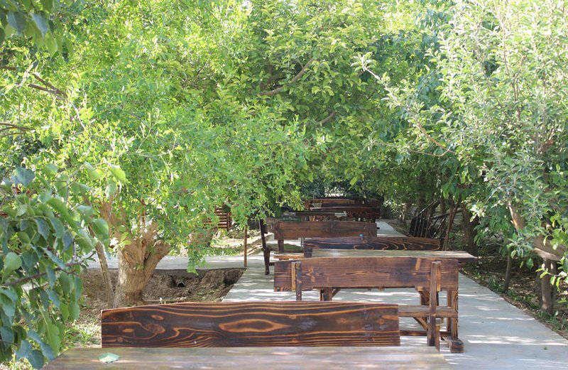 nongfushanzhuangOther