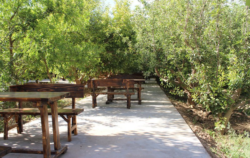 nongfushanzhuangOther