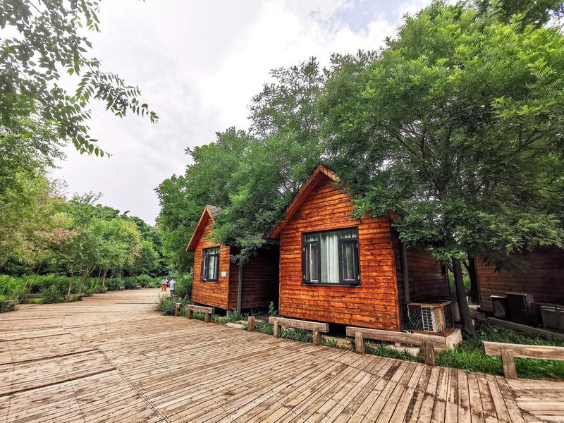 Box Encounter Wooden House Over view