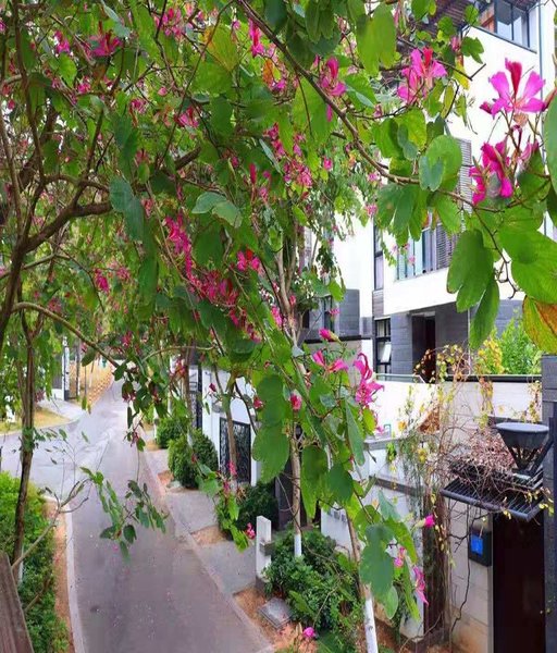 Fangyuan Mingyue Shanxi Holiday Villa酒店外观