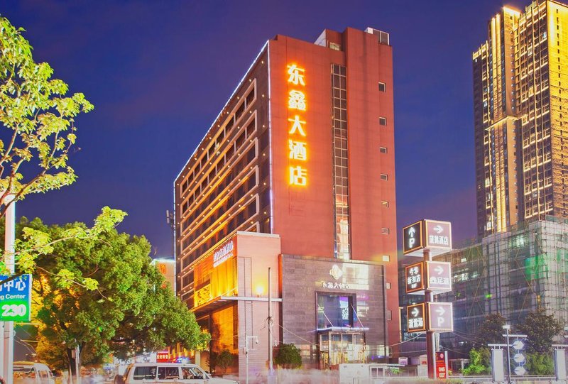 Dongxin Hotel Wuhan over view