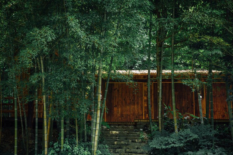 Hanging Garden Valley No.5 Over view