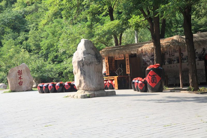 kangnuoyizhan Over view