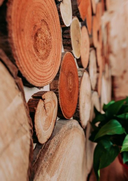 Qingxin Youshe HostelRestaurant