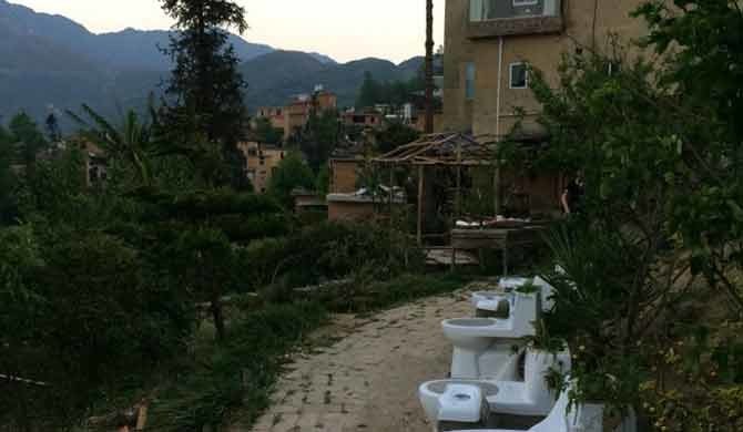 Yuanyang Green Hostel & Sunny Guesthouse Over view