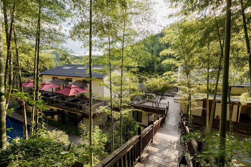 Mogan mountain bamboo talk brook holiday home Over view