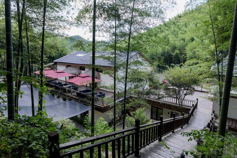 Mogan mountain bamboo talk brook holiday home Over view