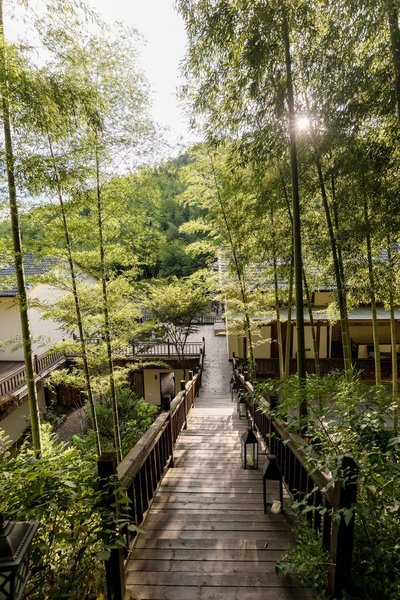 Mogan mountain bamboo talk brook holiday home Over view