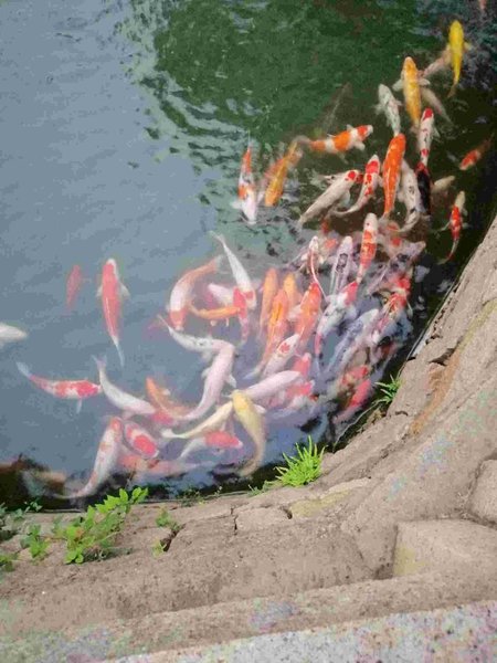 ZhouZhuangWanSanDongZhuang hotel周边景点