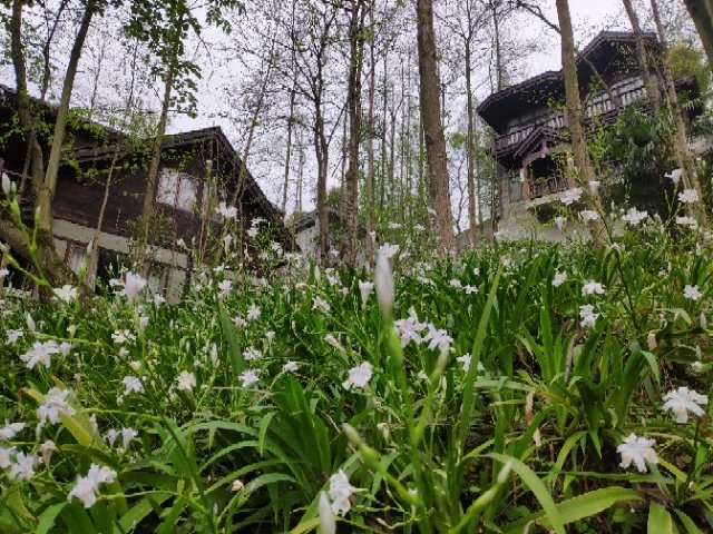 Wanxing Garden Hot Spring Hotel Over view