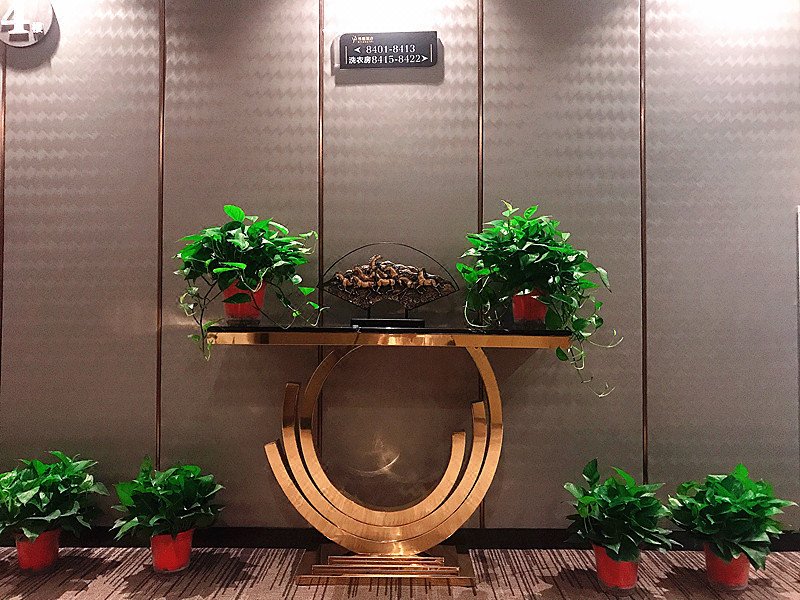 GYA Hotell (Jingjiang Chengnan Century Square)Over view