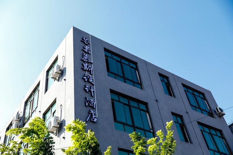 Mango Mousse Design HostelOver view