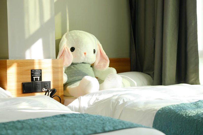 Mango Mousse Design HostelGuest Room