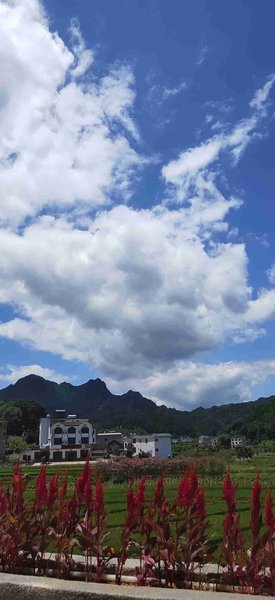 Langshan Bajiaozhai Xiao'er Farm House Over view