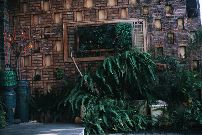 Tao Ran Hotel (Mount Wuyi Ziyang Ancient Town North Street) Over view