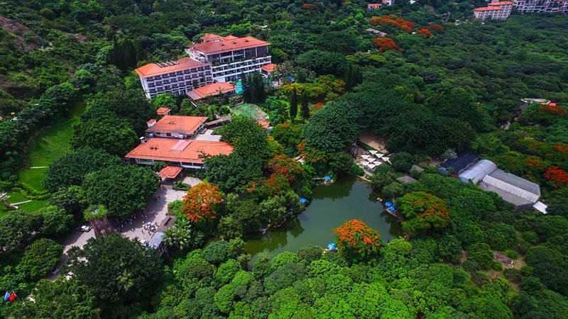 Evergreen Resort Hotel over view