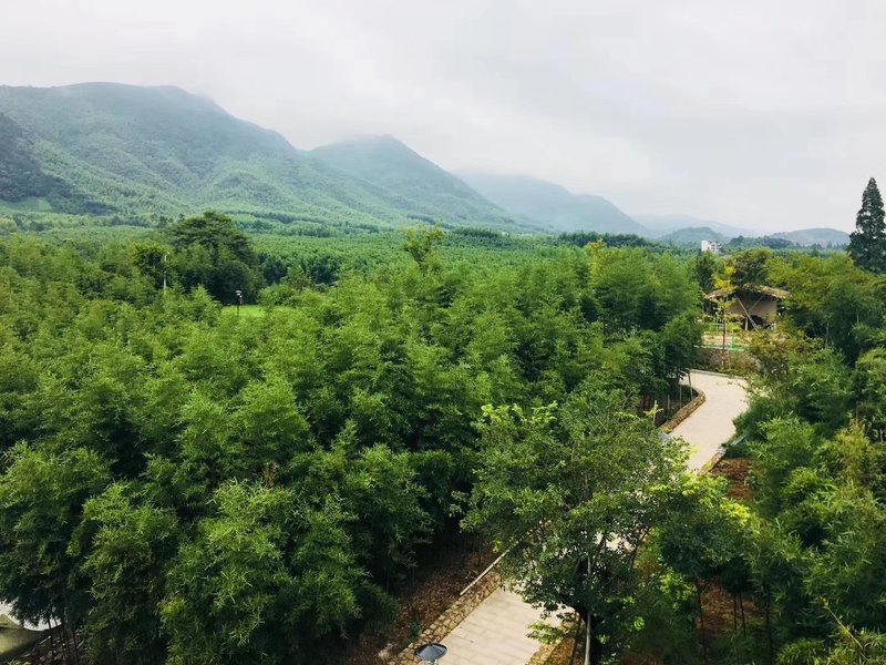 Mount Mogan Qinghe Yunqi Hostel Over view