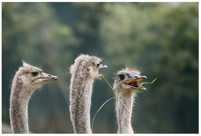 ZhongNan Resort Hotel Over view