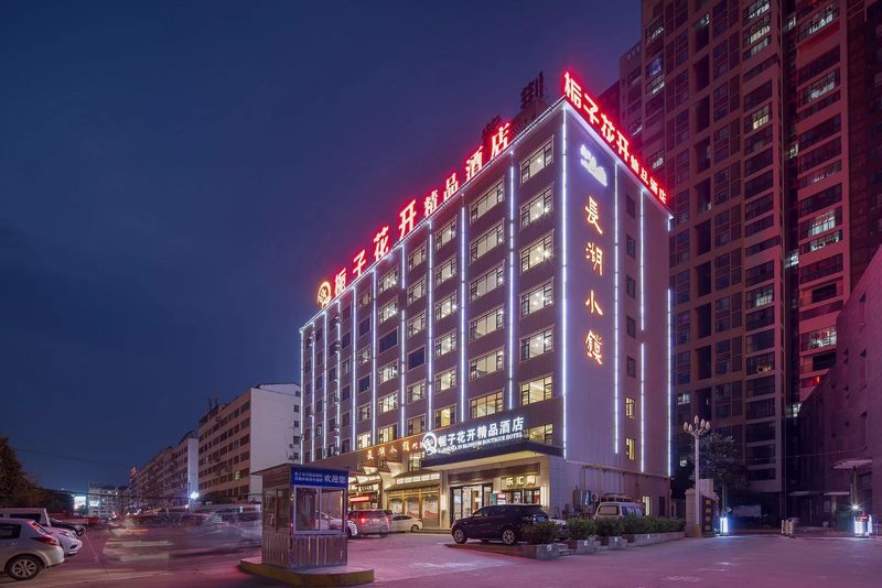 Gardenia in blossom boutique hotelOver view