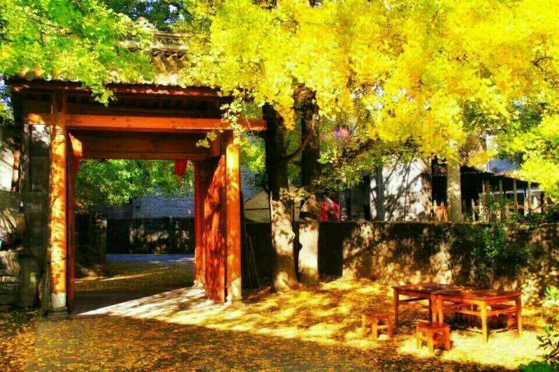 Tengchong Shuangle Farm StayOver view