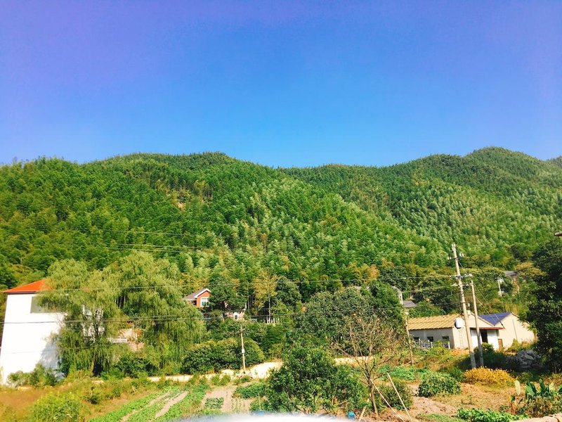 Tingxinju Hostel Over view