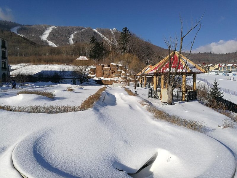 tianzezhuangyuan Over view