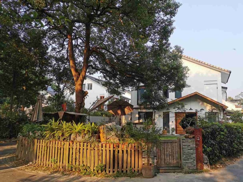 West Lake Lingyin Xiangzhang Yunshe Homestay Over view