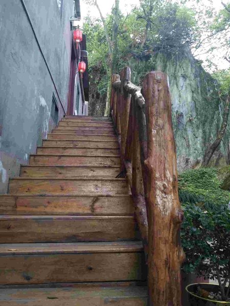 jingjianrenjia lnn Over view