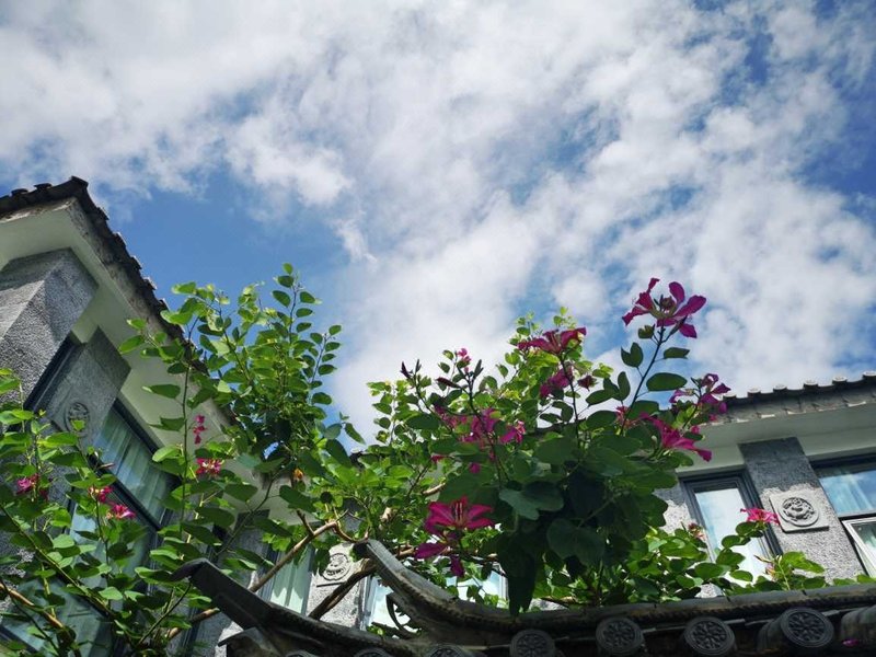 Aaron＇s Guest HouseOver view