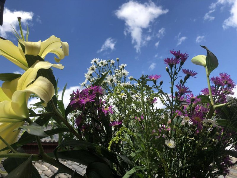 同程首页 全国酒店 丽江市酒店 酒店 丽江书吟别院 老板跟老板娘人