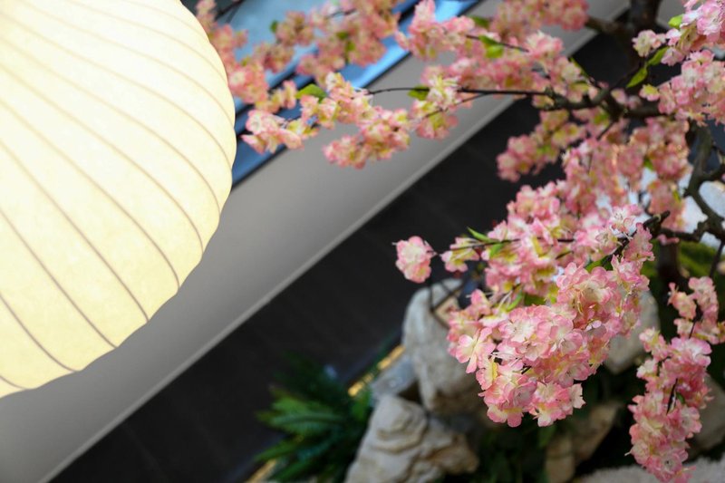 Mulan · Fanli Design Holiday HotelOver view