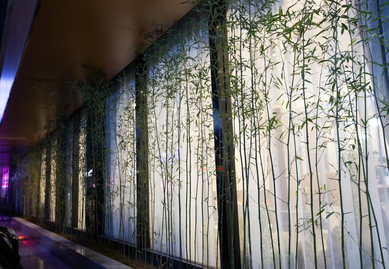 qingfanghaohotelOver view