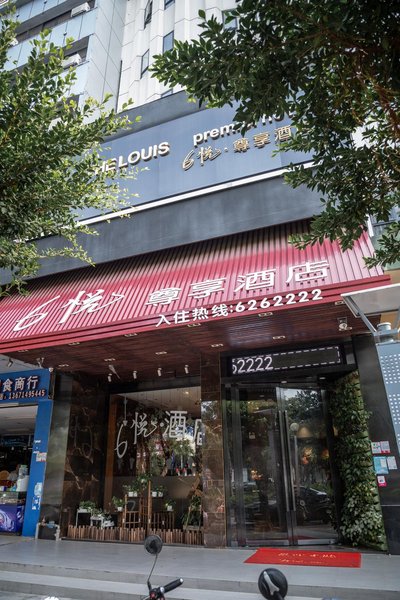 TheLouis PremierHotelOver view