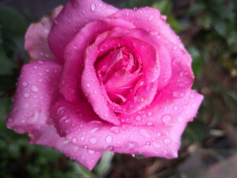 Tien SonHotel public area