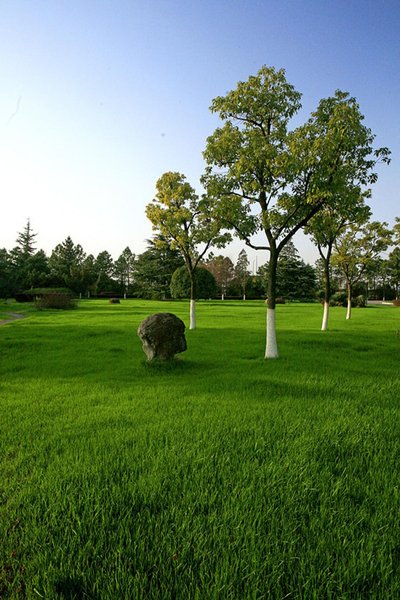 Riverside Guesthouse JiangxiOver view