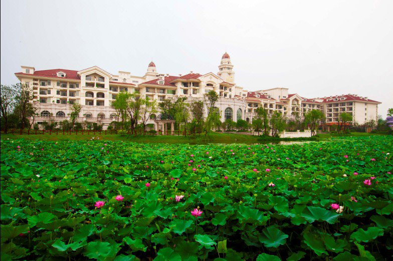 Country Garden Phoenix Hotel Over view