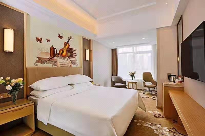 Vienna Hotel (Dacheng)Guest Room