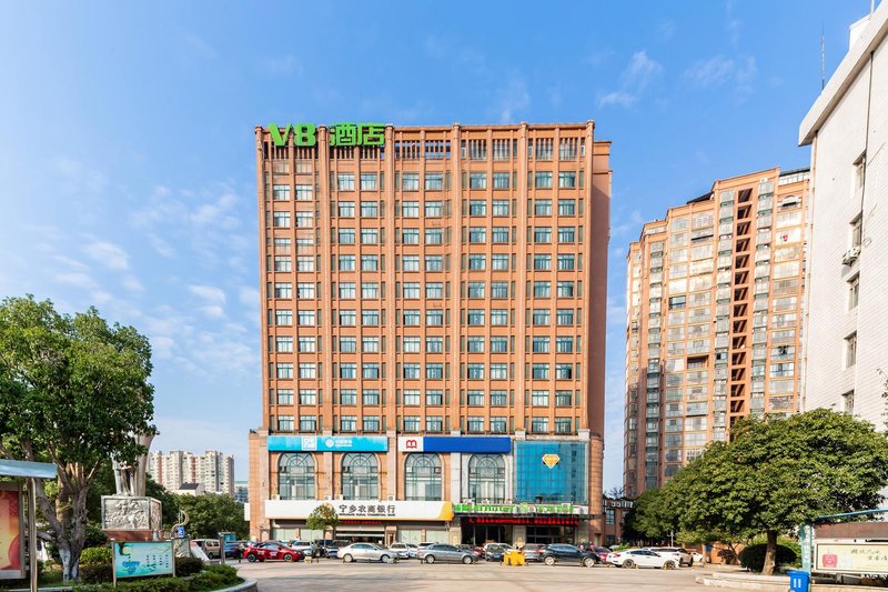 Ningxiang V8 Theme Hotel Over view