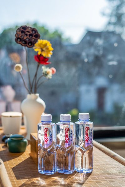 Hanse Shanfang Boutique InnGuest Room