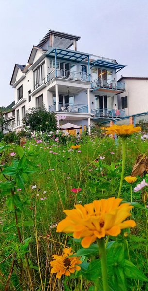 C'est La Vie Hotel Over view