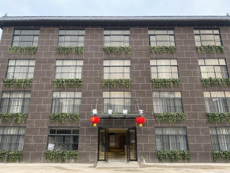 Under Ginkgo Tree Hotel (Kaifeng Longting District) Over view