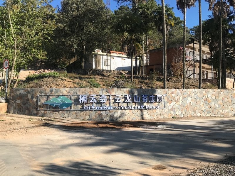 Qiyunhui Yunlong Mountain Tea ManorOver view