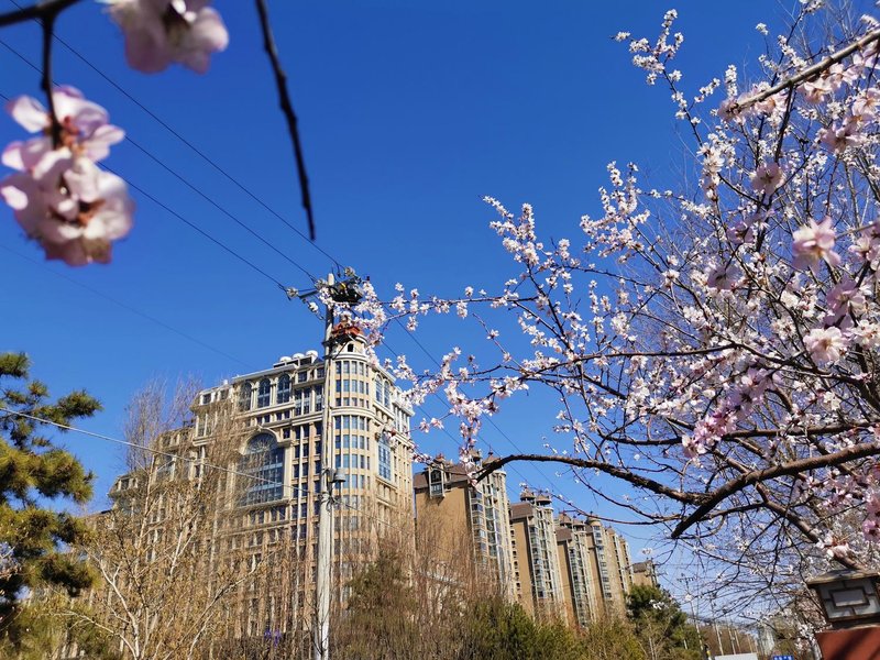 Lijingwan International Hotel Over view