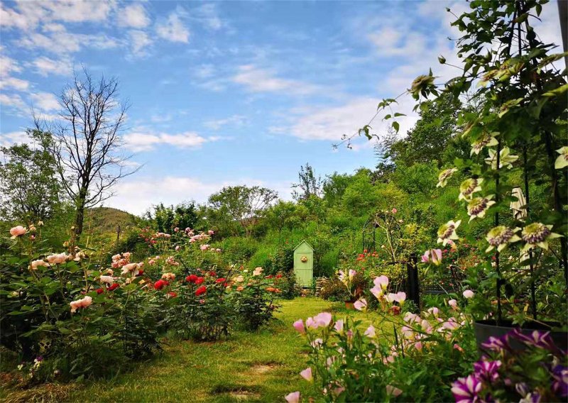 Banhua Shansu Hotel Over view