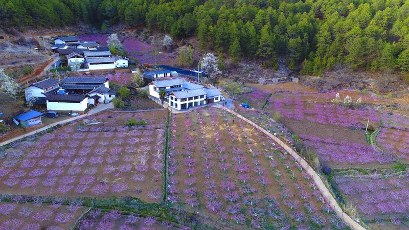 Hidden Place Hotel Over view